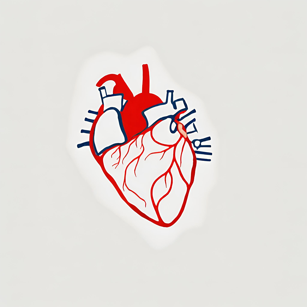 Cardiology